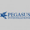 Pegasus Investigations