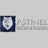 Astinel Security & Forensics